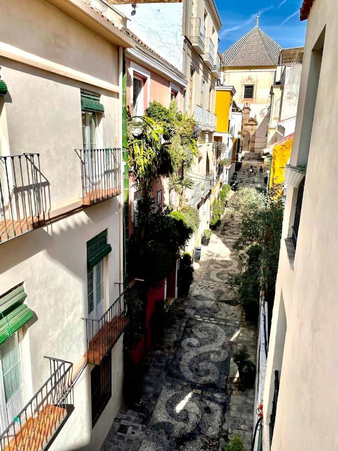 Paloma Suite Solarium Centro Historico Malaga Exterior photo